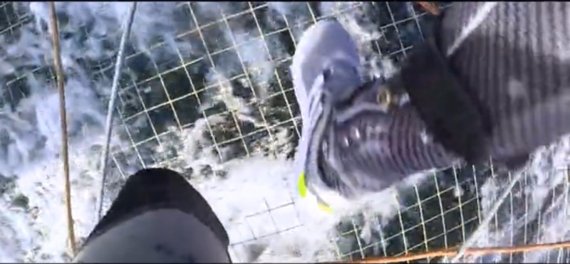 FranckCammasBackontheWater